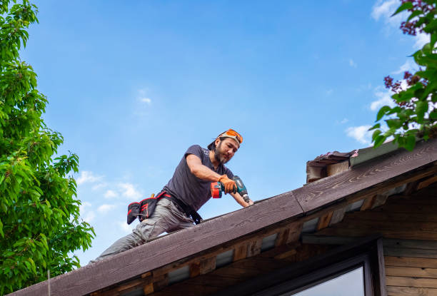 Best Skylight Installation and Repair  in Young Harris, GA